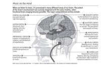 Your music genre and your personality