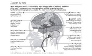 Your favorite music genre and your personality