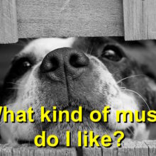 Dogs music