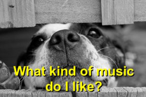 Dogs music