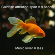 attention span