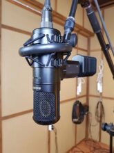 Sony C-800G - microphone choices